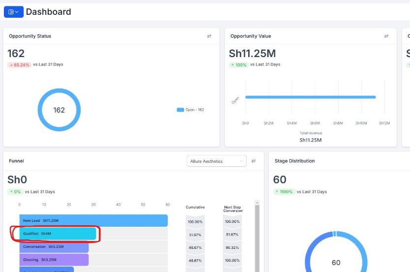 Comprehensive dashboard showing $11.25M in opportunities and 162 leads